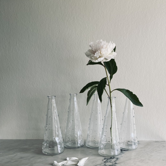 Vase soliflore x2